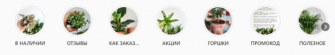 Рабочий Инстаграм: как ведут аккаунты продавцы комнатных растений, фото 23