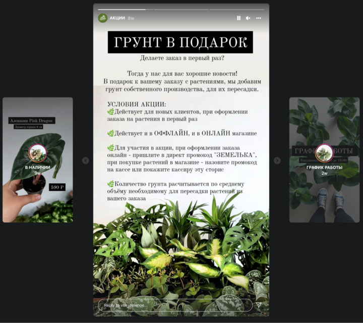 Рабочий Инстаграм: как ведут аккаунты продавцы комнатных растений, фото 26