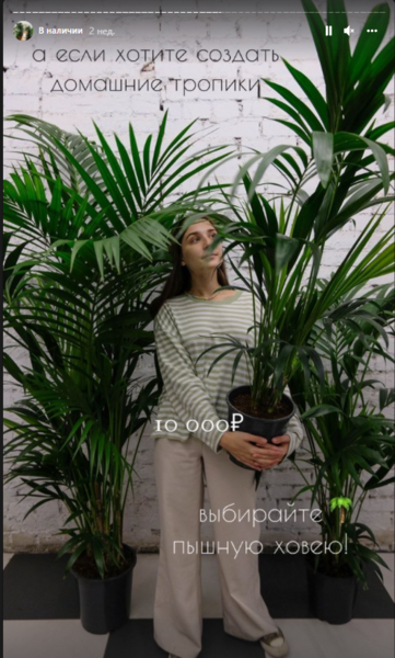 Рабочий Инстаграм: как ведут аккаунты продавцы комнатных растений, фото 16