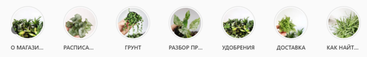 Рабочий Инстаграм: как ведут аккаунты продавцы комнатных растений, фото 24