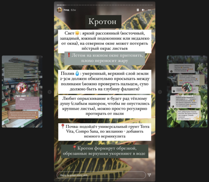 Рабочий Инстаграм: как ведут аккаунты продавцы комнатных растений, фото 7
