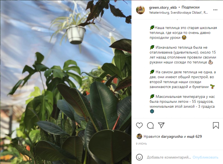 Рабочий Инстаграм: как ведут аккаунты продавцы комнатных растений, фото 11