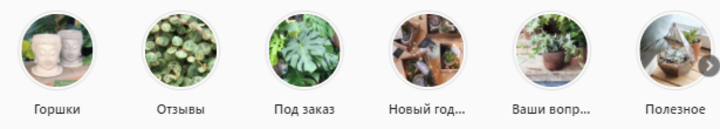 Рабочий Инстаграм: как ведут аккаунты продавцы комнатных растений, фото 5